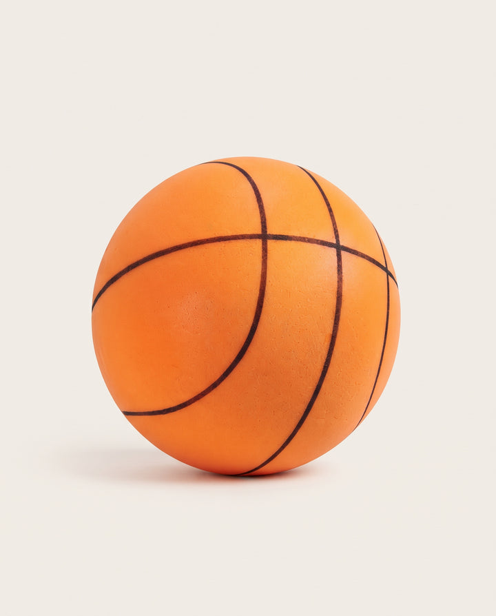 Hushoops Quiet Indoor Basketball, studio photo
